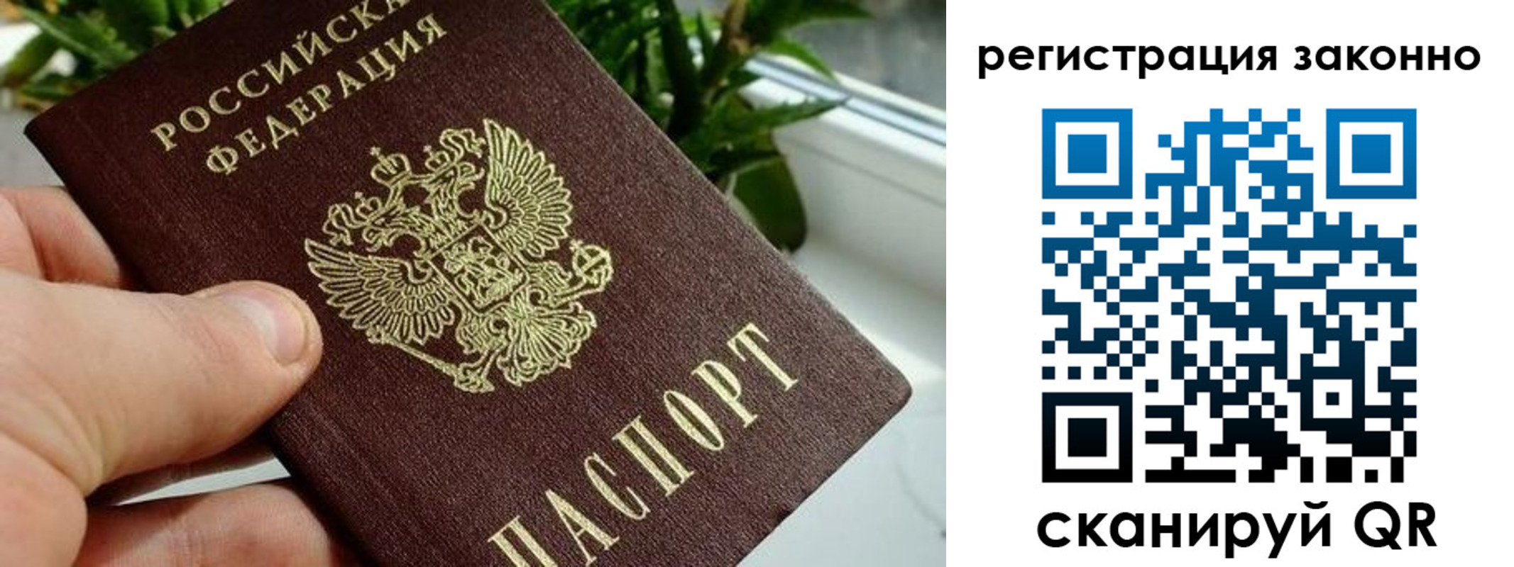 прописка гарантия в Котовске